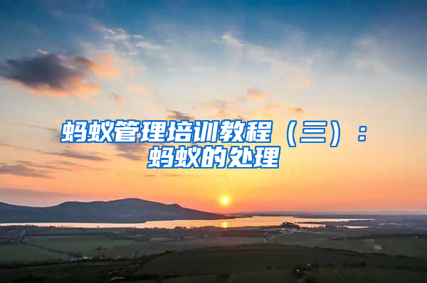 螞蟻管理培訓教程（三）：螞蟻的處理