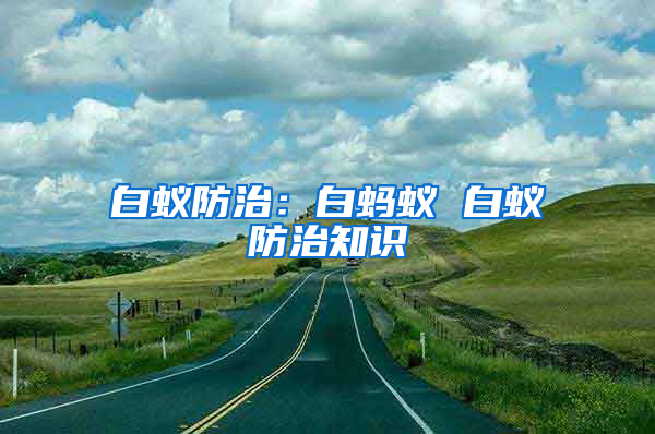 白蟻防治：白螞蟻 白蟻防治知識(shí)