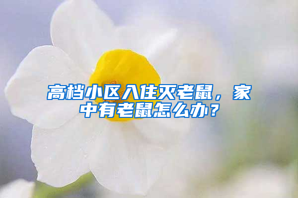 高檔小區入住滅老鼠，家中有老鼠怎么辦？