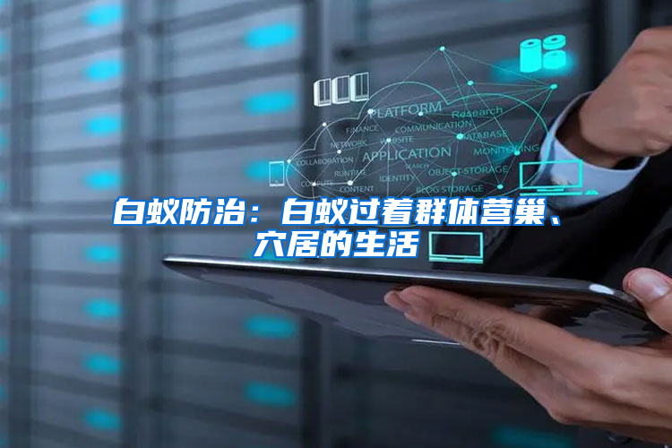 白蟻防治：白蟻過著群體營巢、穴居的生活