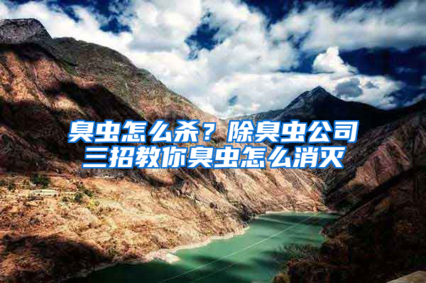 臭蟲怎么殺？除臭蟲公司三招教你臭蟲怎么消滅