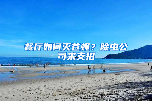 餐廳如何滅蒼蠅？除蟲公司來支招