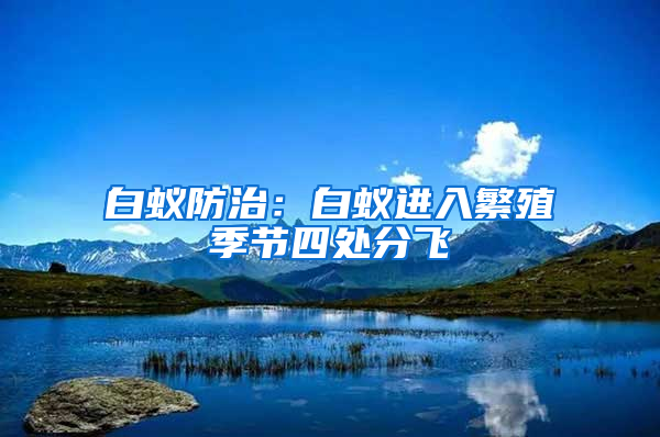 白蟻防治：白蟻進入繁殖季節四處分飛