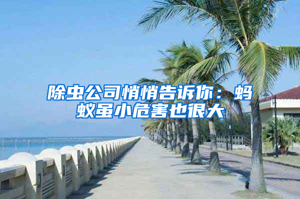 除蟲公司悄悄告訴你：螞蟻雖小危害也很大