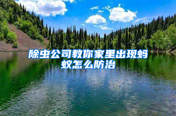 除蟲公司教你家里出現螞蟻怎么防治