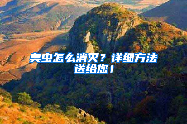 臭蟲怎么消滅？詳細方法送給您！