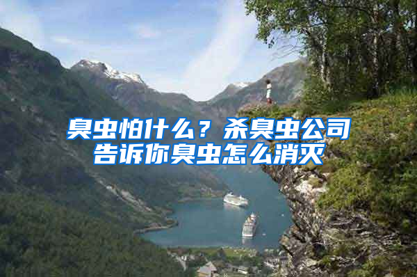 臭蟲怕什么？殺臭蟲公司告訴你臭蟲怎么消滅