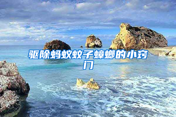 驅(qū)除螞蟻蚊子蟑螂的小竅門