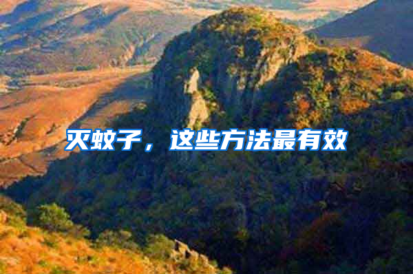滅蚊子，這些方法最有效