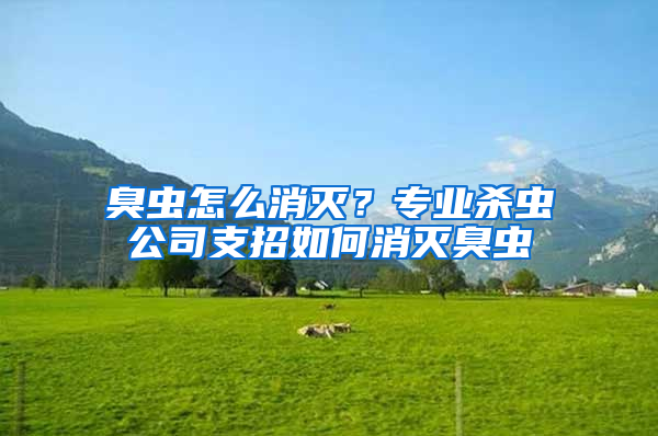 臭蟲怎么消滅？專業殺蟲公司支招如何消滅臭蟲