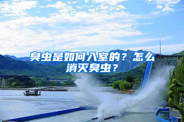 臭蟲(chóng)是如何入室的？怎么消滅臭蟲(chóng)？