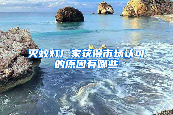 滅蚊燈廠家獲得市場(chǎng)認(rèn)可的原因有哪些