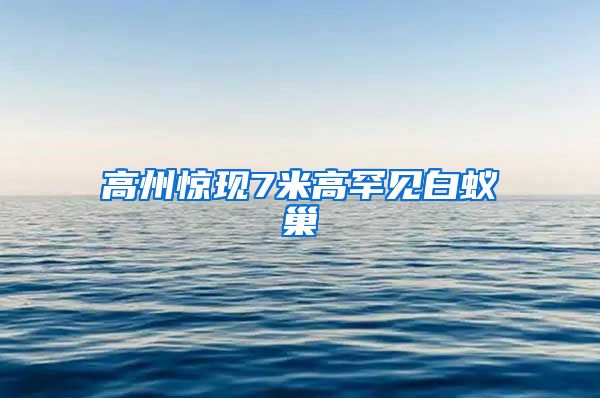 高州驚現7米高罕見白蟻巢