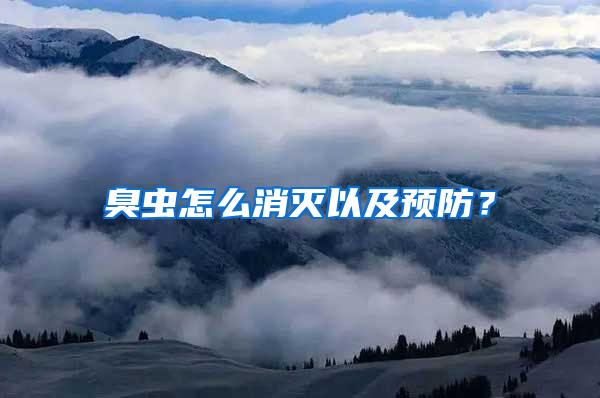 臭蟲怎么消滅以及預(yù)防？