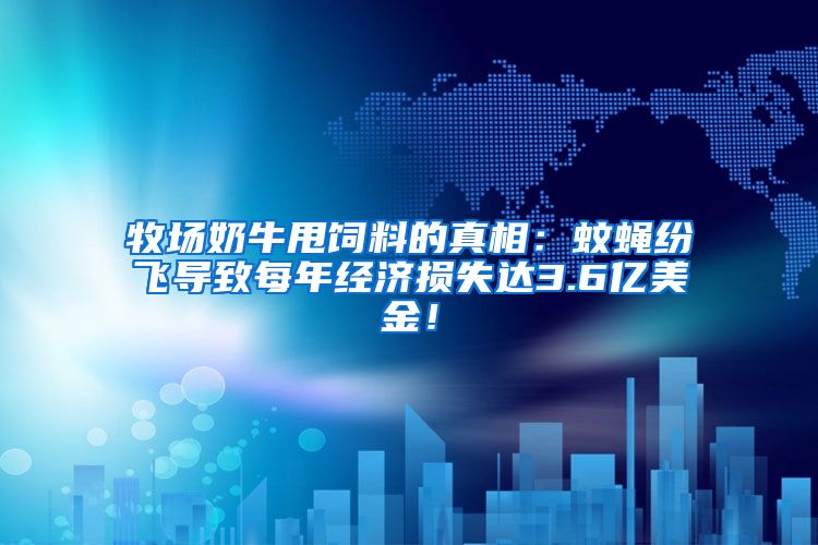 牧場奶牛甩飼料的真相：蚊蠅紛飛導致每年經濟損失達3.6億美金！