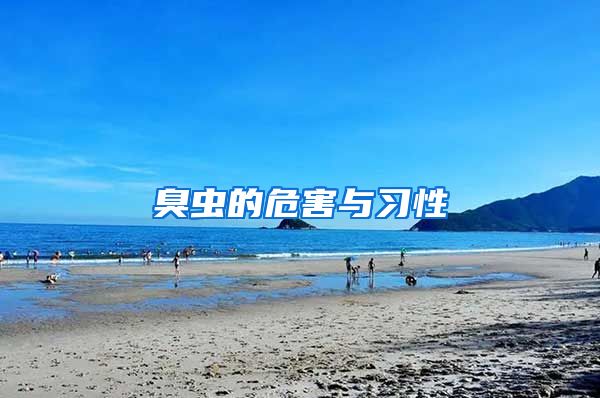 臭蟲(chóng)的危害與習(xí)性